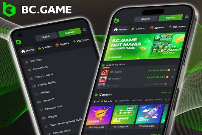 Discover the Thrills of BC.GAME Online Casino in Africa 849038974