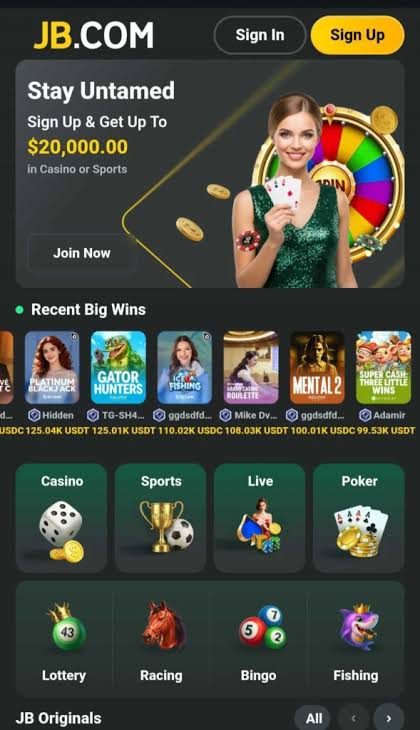 Exploring JB Casino Payment Methods A Guide for Gamblers